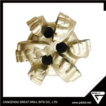 Cangzhou Produce High Quality Pdc Drilll Bit for Oil and Mining Well Drilling