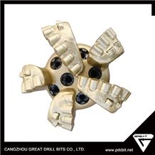 Shock Resistant Pdc Drill Bit for Gas Well Drilling