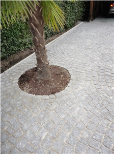 Biasca Gneiss Cobble Stone