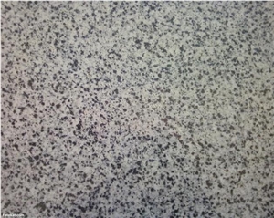 Grey Elsherka Granite Grey Elsherka Granite