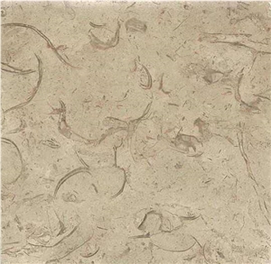 Katreen Marble Tiles & Slabs, Katrina Marble, Grey Polished Marble Flooring Tiles, Walling Tiles Katreen Marble Tiles & Slabs, Katrina Marble, Grey Polished Marble Flooring Tiles, Walling Tiles