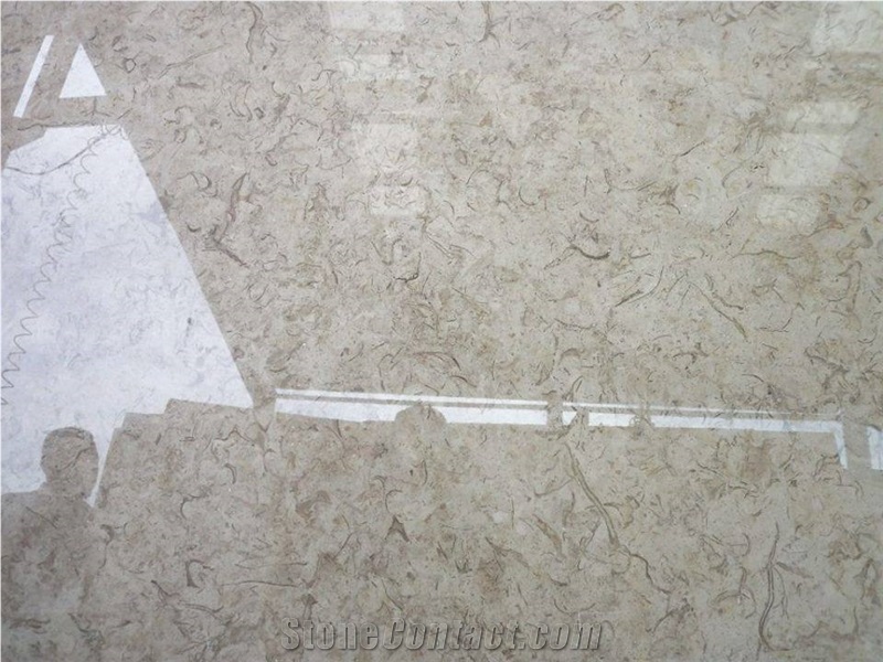 Katreen Marble Tiles & Slabs, Katrina Marble, Grey Polished Marble Flooring Tiles, Walling Tiles
