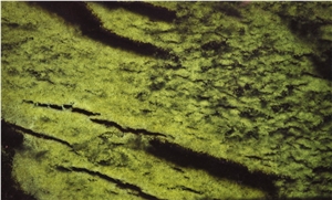 Green Translucent Serpentine Blocks