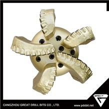 High Quality Pdc Drill Bit for Oil Well