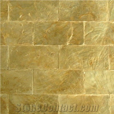 Shell Mosaic