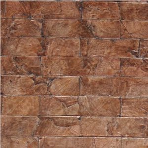 Shell Mosaic