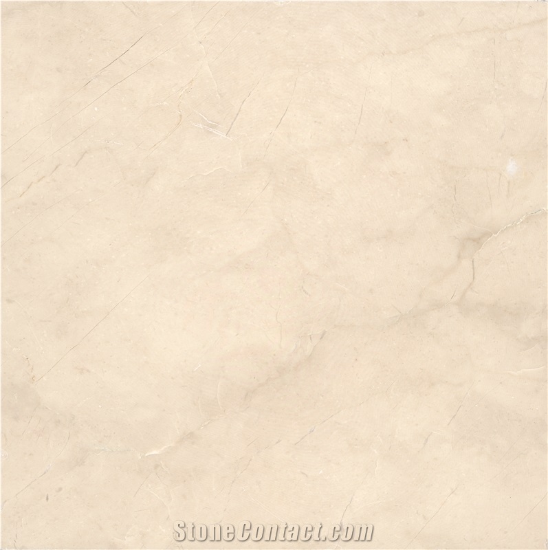 Shayan Cream White Marble