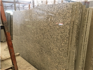 Tiger Skin White Granite Kitchen Tops, Desk Tops, Bench Tops with Bullnose Edge, Chinese Cheap White Granite Countertop