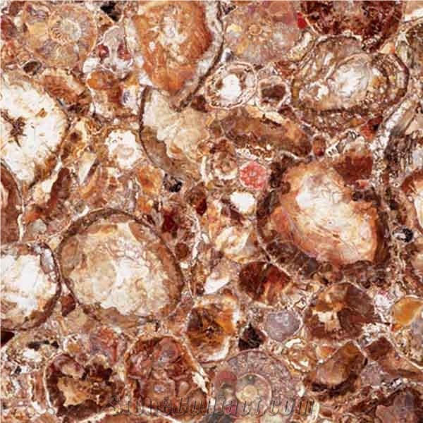 African Petrified Wood Semiprecious Stone Tiles & Slabs, Yellow Stone