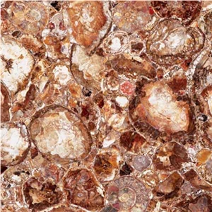 African Petrified Wood Semiprecious Stone Tiles & Slabs, Yellow Stone