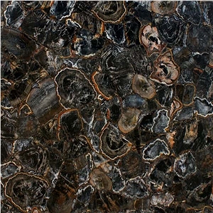 Black Petrified Wood Full, Semiprecious Stone Slabs