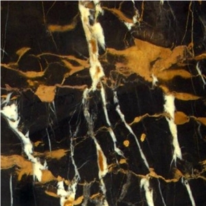 Micheal Angelo Marble Slabs & Tiles, Black & Gold Marble Slabs & Tiles