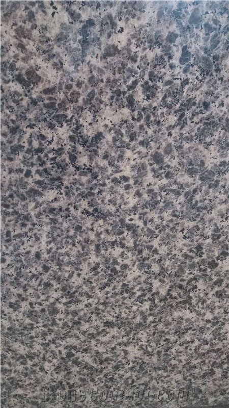 Leopard Skin Black Granite Slab Tiles,Leopard Skin Brown Granite Slab Tiles