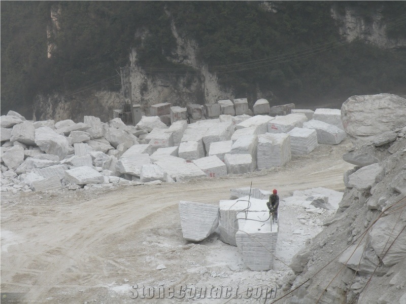 Oriental White Marble Blocks/China Carrara White Marble Blocks