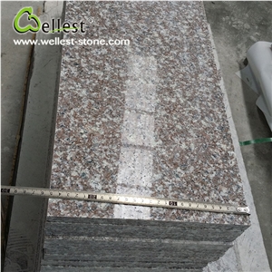 China Factory G664 Pink Granie Stair Treads for House