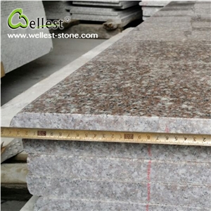China Factory G664 Pink Granie Stair Treads for House