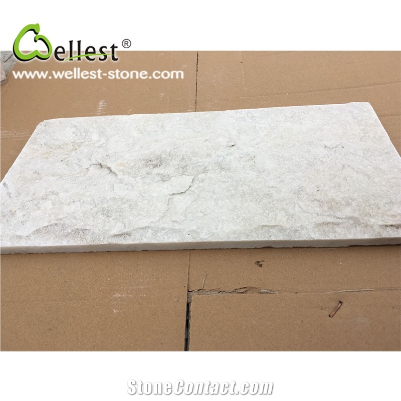 Top Quality Best Selling Quartzite Mushroom Stone for Wall Decoration