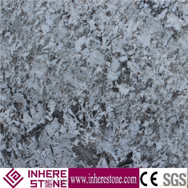 Blanco Potiguar White Granite,Brazil Bianco Antico Import Polished Granite Slabs