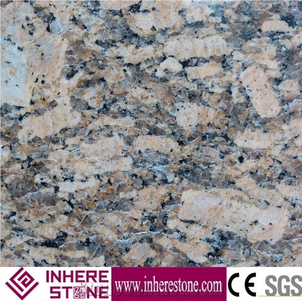 Brazil Giallo Fiorito Granite Tile & Slab,Amarelo Florenca Gold Granite,Polished Amendoa Aurora Tiles,Yellow Fiorito Stone,Giallo Firenze Granite Flooring