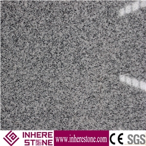 Natural Stone Barry Grey Granite Slabs,Jinjiang Neicuo White Wall Covering,Sesame Grey Flooring Tiles,Padang Chiaro G633
