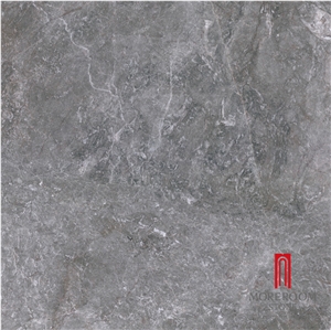 New Model Flooring Tiles Foshan Premium Porcelain Tiles 60x60 24x24 Porcelain Tile