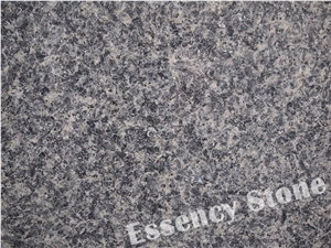China Leopard Skin Flower Granite Small Slab,Polished Leopard Brown Granite Rough Slab