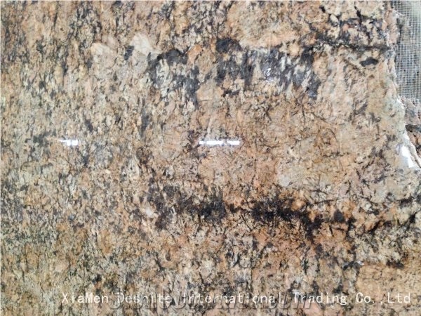 Zeus Gold Brazil Granite Yellow Slabs Stone Tiles
