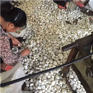 White Polished Pebble,River Stone,Landscaping River Stone