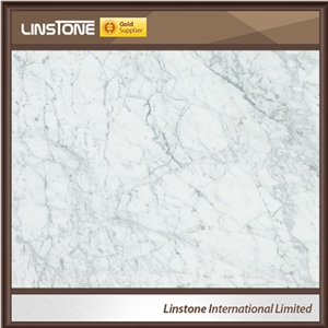 Extravagant Venatino Marble Wall Tiles, Italy White Marble