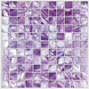 Unique Shell Tile Mother Of Pearl Shell Mosaic Tile