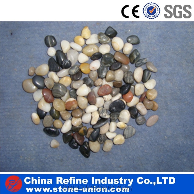 Coloured White Pebble And Dark Pebbles Saless Lowest