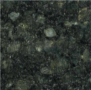 Brazil Butterfly Green Granite Tile & Slab