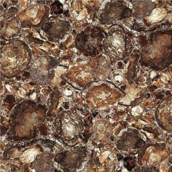 Brown Petrified Wood Semiprecious Stone
