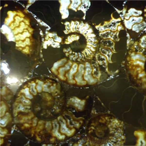 Constellation Yellow Semiprecious Stone Tiles & Slabs