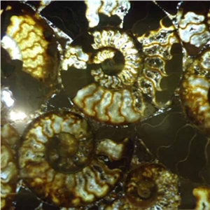 Constellation Yellow Semiprecious Stone Tiles & Slabs Constellation Yellow Semiprecious Stone Tiles & Slabs