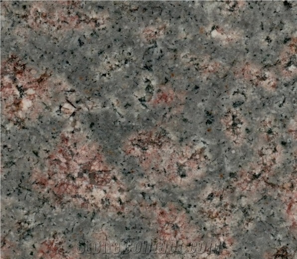 Bala Flower Granite tiles & slabs, green polished granite floor covering tiles, walling tiles 