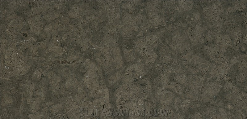 Chambord Limestone Tiles & Slabs, Grey Limestone Floor Covering Tiles