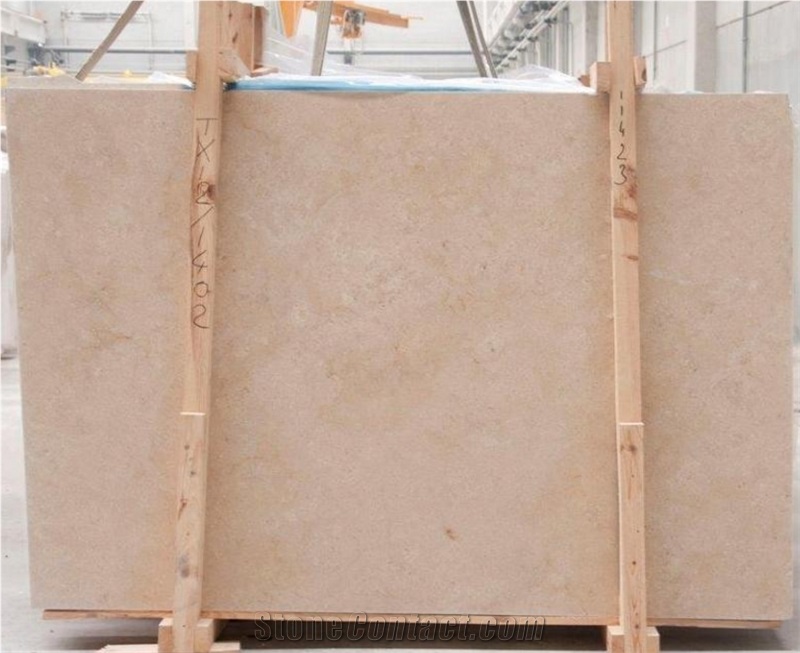 Sea Shell Limestone