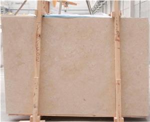 Sea Shell Limestone
