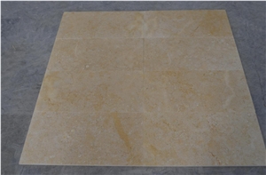 Sea Shell Limestone