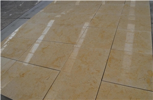 Sea Shell Limestone