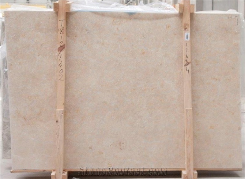 Sea Shell Limestone