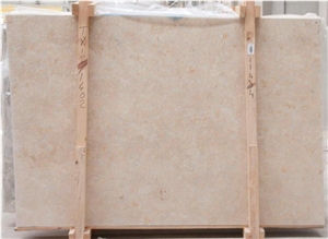 Sea Shell Limestone