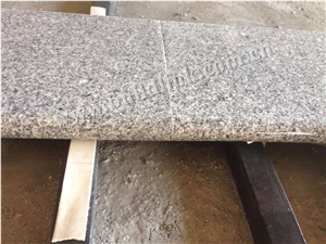 China Original G603 Granite Flamed Bullnose Pool Coping,Silver Grey Granite,Sesame White Granite,Crystal Grey Granite,Light Grey Granite Flamed Bullnose