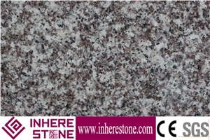 Violet Of Luoyuan Granite,Fu Rose,G 664,G664,Hxg023,Loyuan Red,Luo Yuan Violet,Luoyuan Violet,Luoyuan Ziluolan,Luoyuanhong,Falmed Surface Granite Tille &Slab