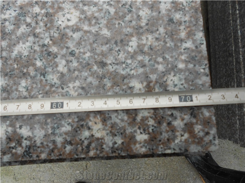 China Violet G664,Chinese Cheap Red Granite,Luo Yuan Red,Copper Brown,China Ruby Red,Luna Pearl Granite,Slabs,Tiles