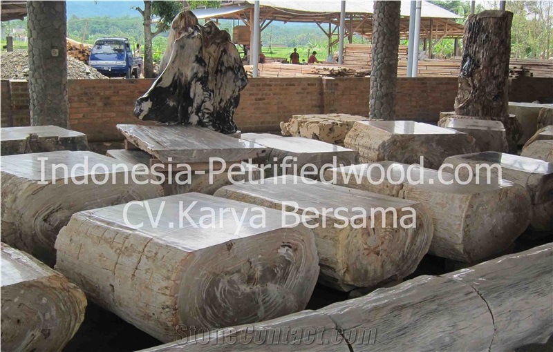 Petrified Wood Tables, Dinner Tables