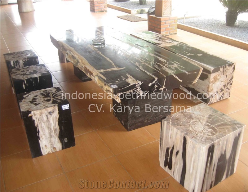 Petrified Wood Tables