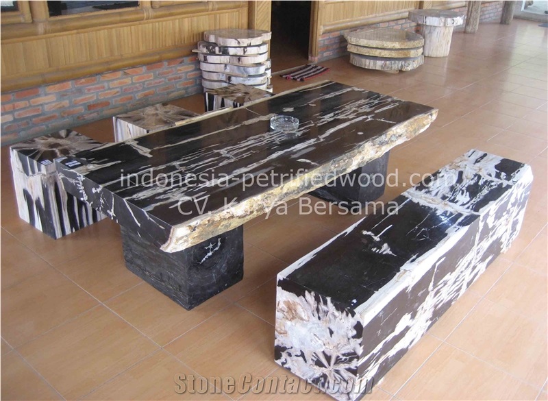 Petrified Wood Tables