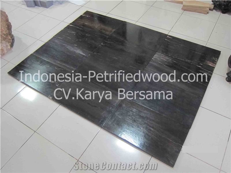 Petrified Wood Tiles & Slabs